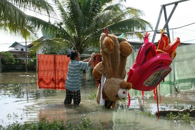 Подборка картинок. Вечерний выпуск - 07.11.2025