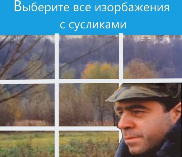 Лучшие шутки и мемы из Сети - 07.11.2025