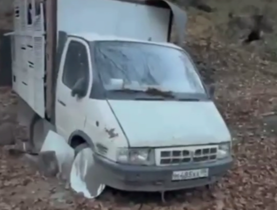 В Дагестане арестовали крипто-Газель