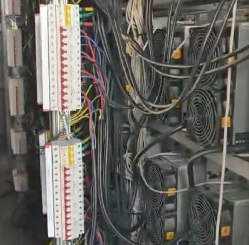 В Дагестане арестовали крипто-Газель