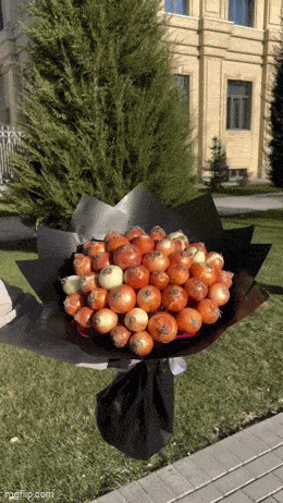 Подборка гифок -  10.11.2025