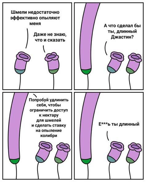 Смешные мемы - 10.11.2025