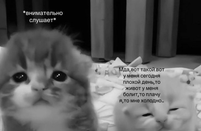 Смешные мемы - 10.11.2025