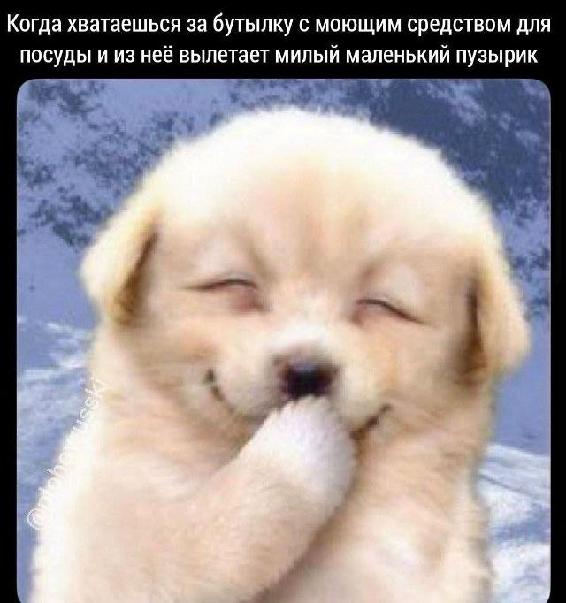 Смешные мемы - 10.11.2025