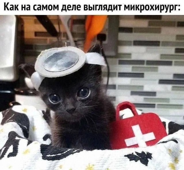 Смешные картинки - 10.11.2025