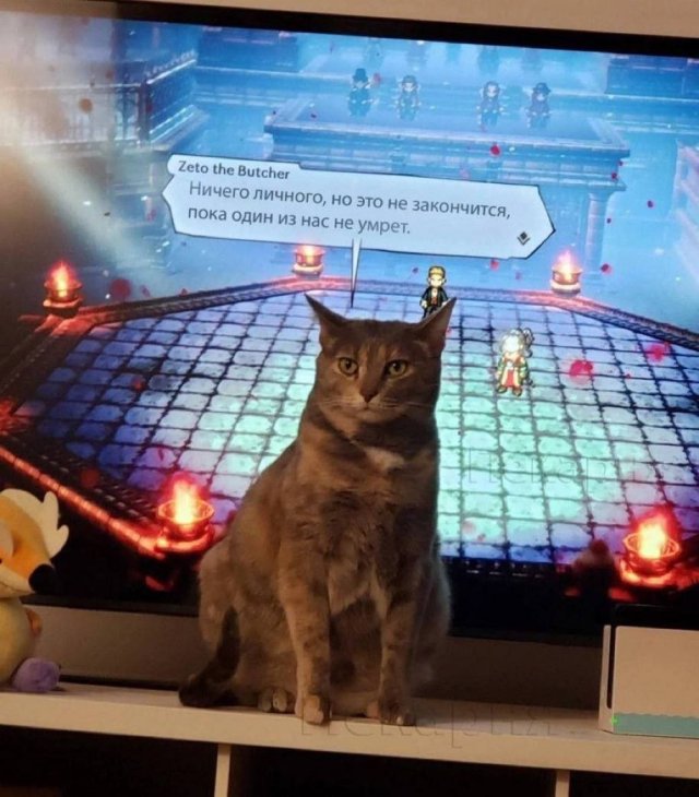 Смешные картинки - 10.11.2025