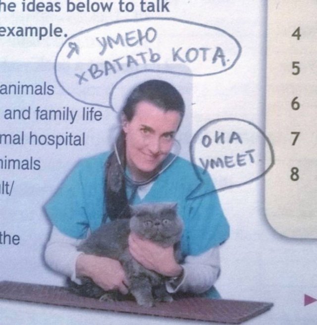 Смешные картинки - 10.11.2025