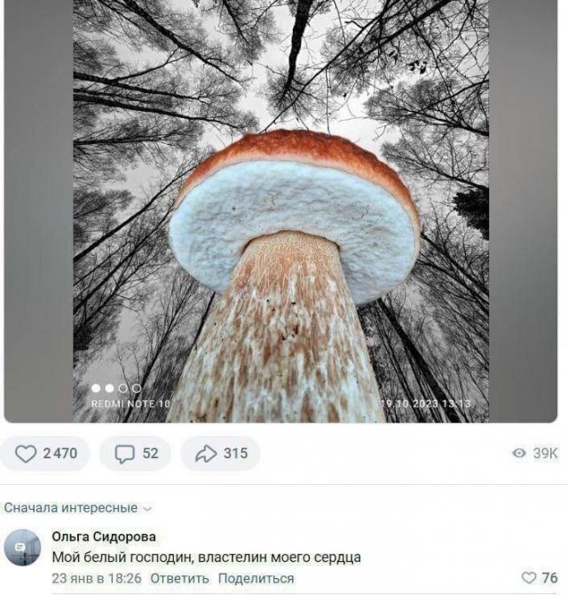 Смешные картинки - 10.11.2025