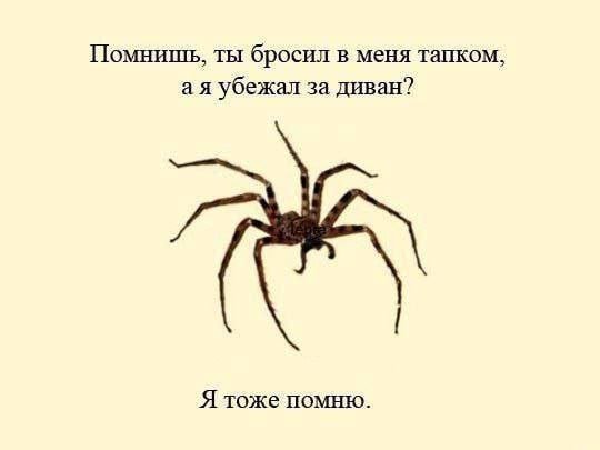 Смешные картинки - 10.11.2025