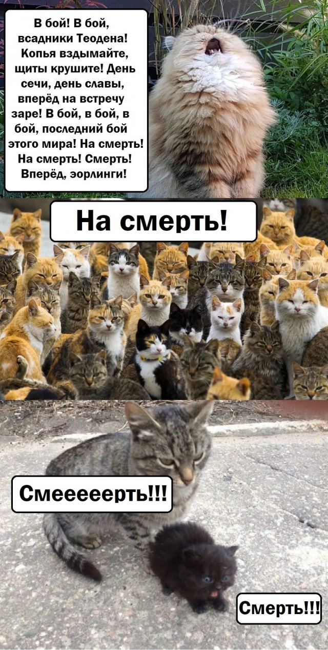 Смешные картинки - 10.11.2025