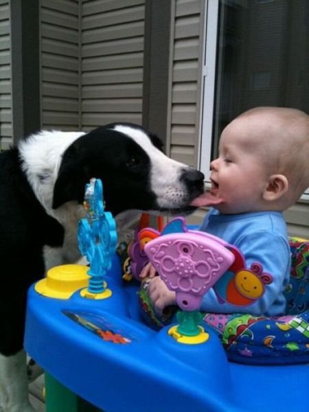 Подборка картинок. Вечерний выпуск - 10.11.2025