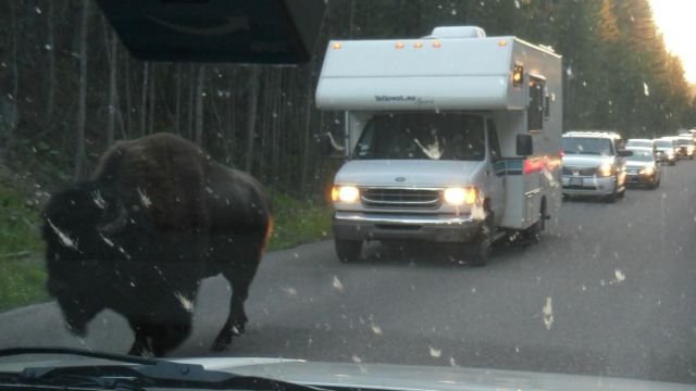 Подборка картинок. Вечерний выпуск - 10.11.2025