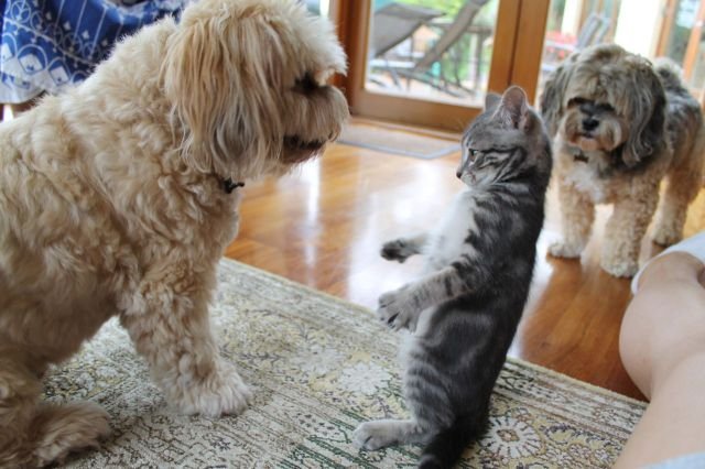 Подборка картинок. Вечерний выпуск - 10.11.2025