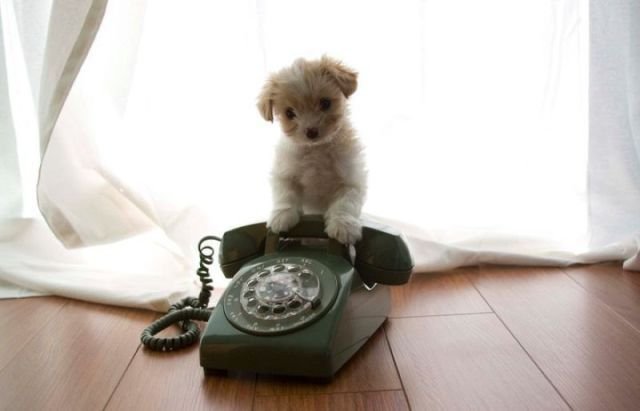 Подборка картинок. Вечерний выпуск - 10.11.2025