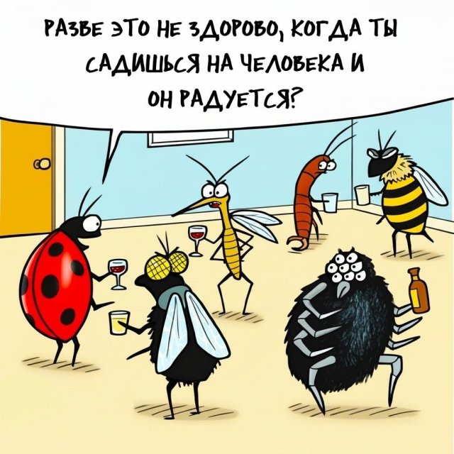 Лучшие шутки и мемы из Сети - 10.11.2025