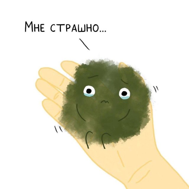 Что такое стыд