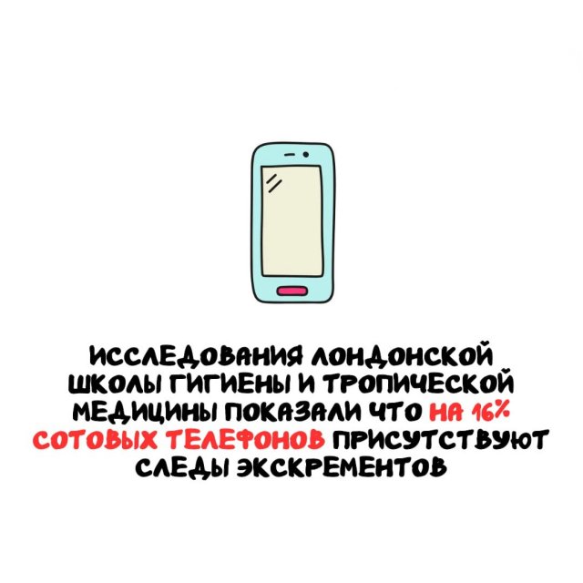 Интересные факты на все случаи жизни