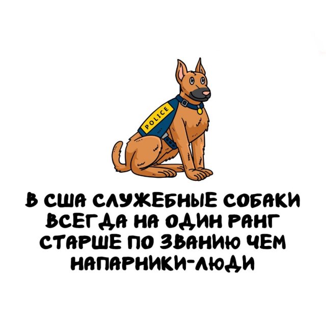 Интересные факты на все случаи жизни