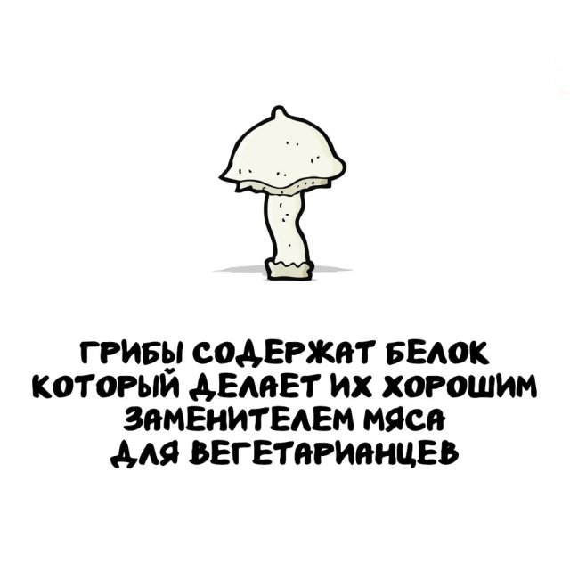 Интересные факты на все случаи жизни