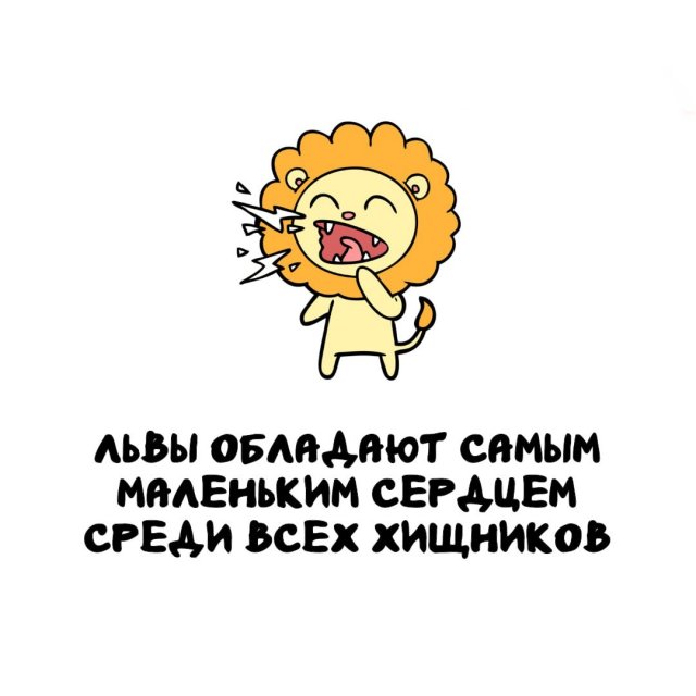 Интересные факты на все случаи жизни