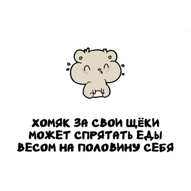 Интересные факты на все случаи жизни