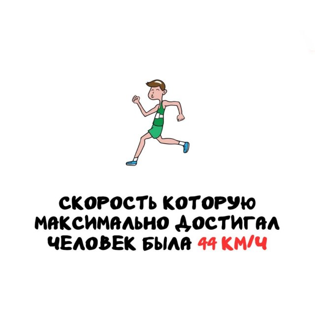 Интересные факты на все случаи жизни