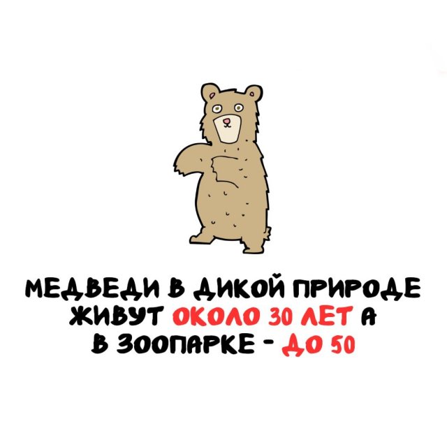 Интересные факты на все случаи жизни