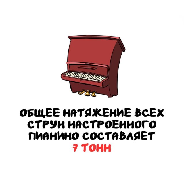 Интересные факты на все случаи жизни