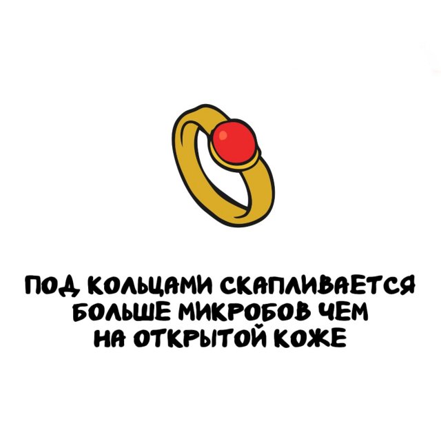 Интересные факты на все случаи жизни