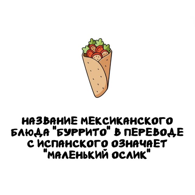 Интересные факты на все случаи жизни