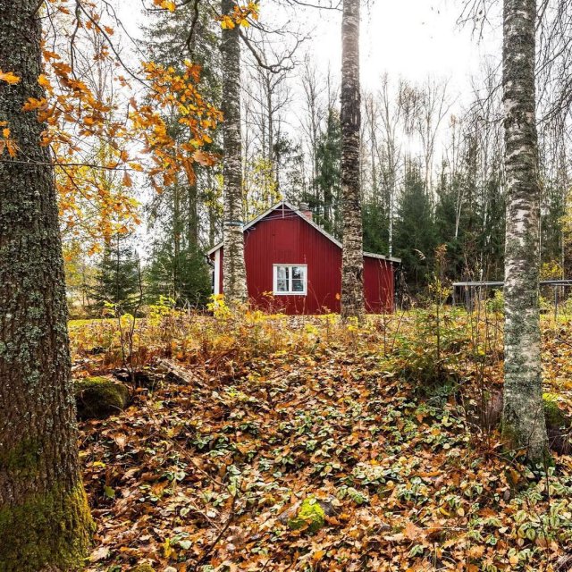 В Швеции обнаружили идеальное жильё для интровертов