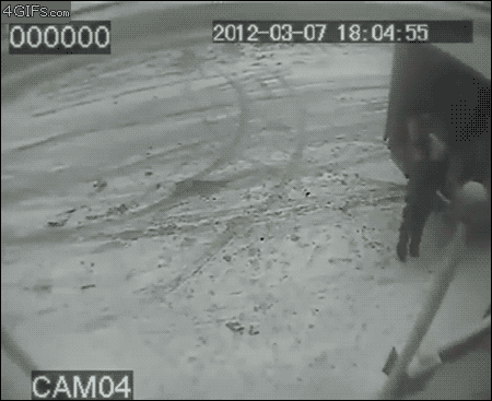 Подборка гифок -  11.11.2025