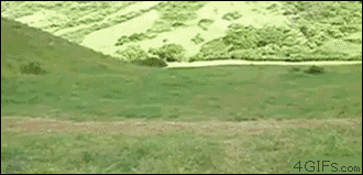 Подборка гифок -  11.11.2025