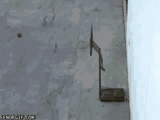 Подборка гифок -  11.11.2025