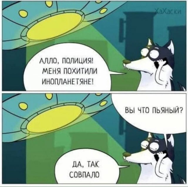 Лучшие шутки и мемы из Сети - 11.11.2025