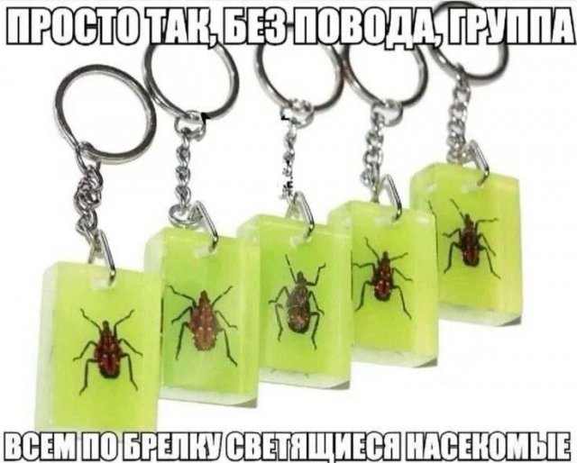 Лучшие шутки и мемы из Сети - 11.11.2025