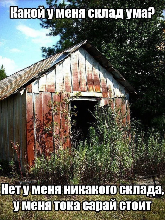 Подборка каламбуров и прикольных лингвошуток