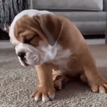 Подборка гифок -  12.11.2025