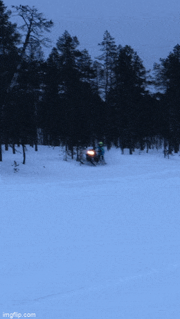 Подборка гифок -  12.11.2025