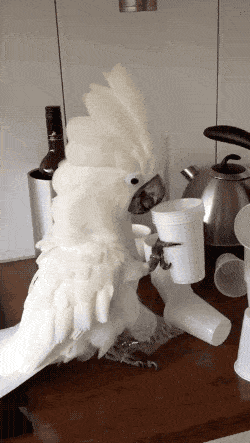 Подборка гифок -  12.11.2025