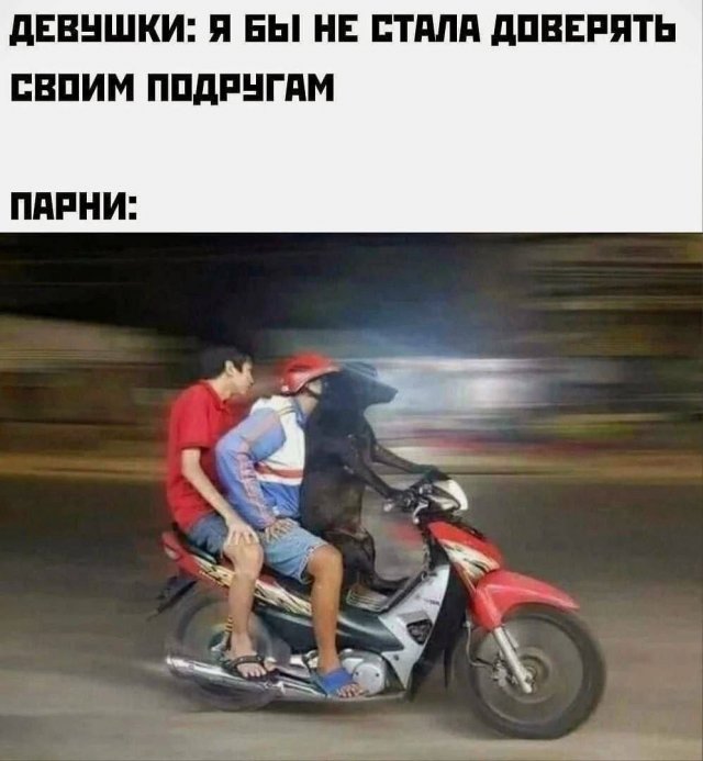 Смешные мемы - 12.11.2025