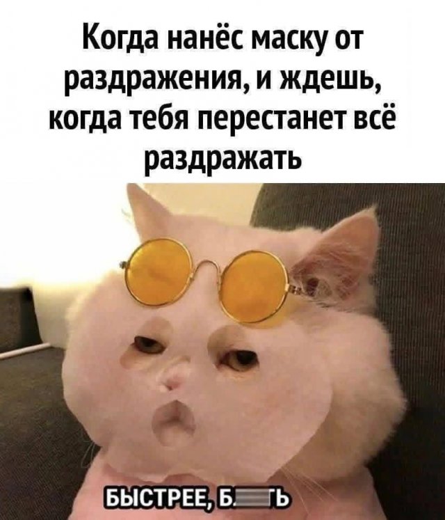 Смешные мемы - 12.11.2025