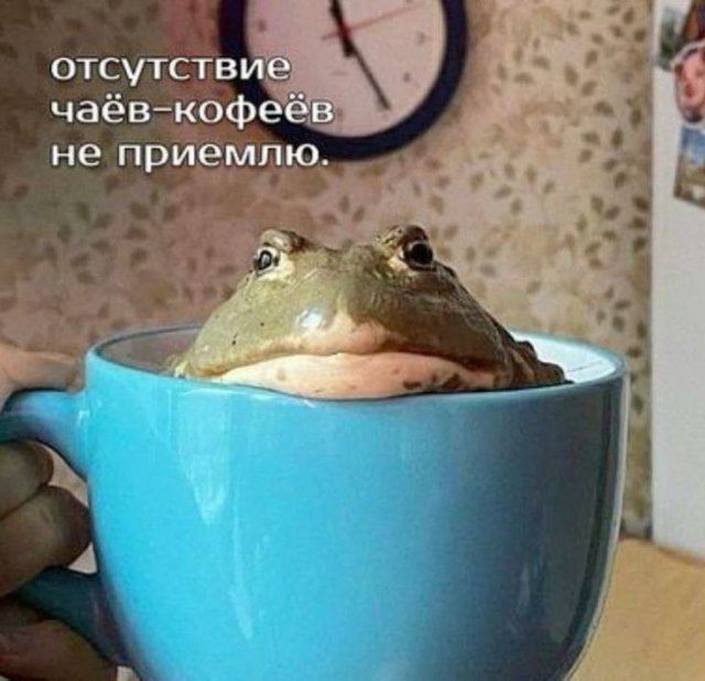 Смешные мемы - 12.11.2025