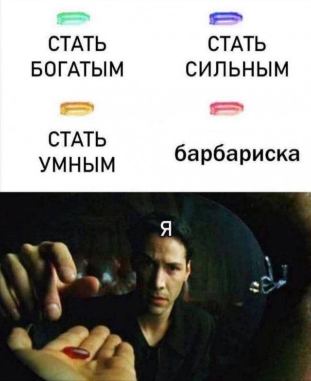 Смешные картинки - 12.11.2025