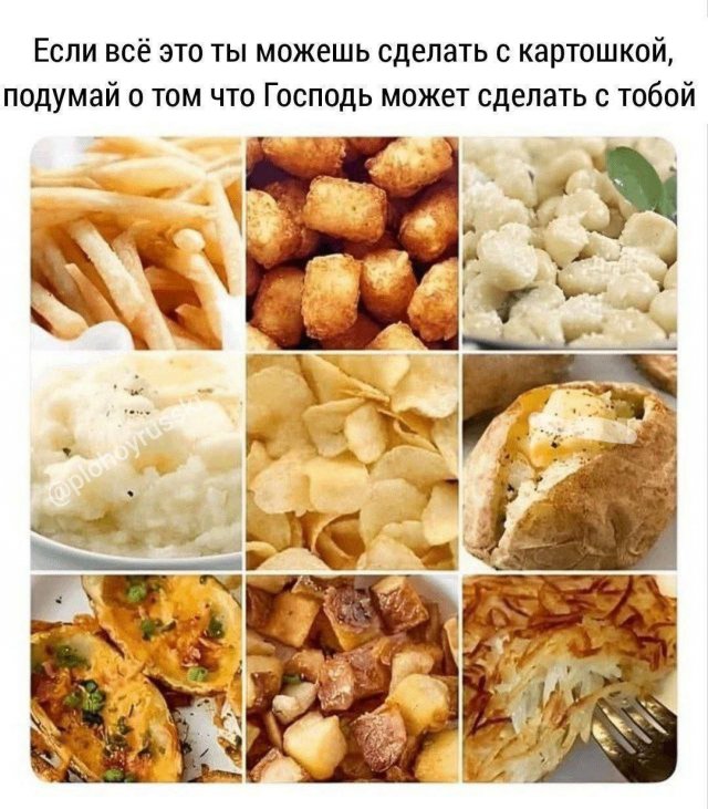 Смешные картинки - 12.11.2025