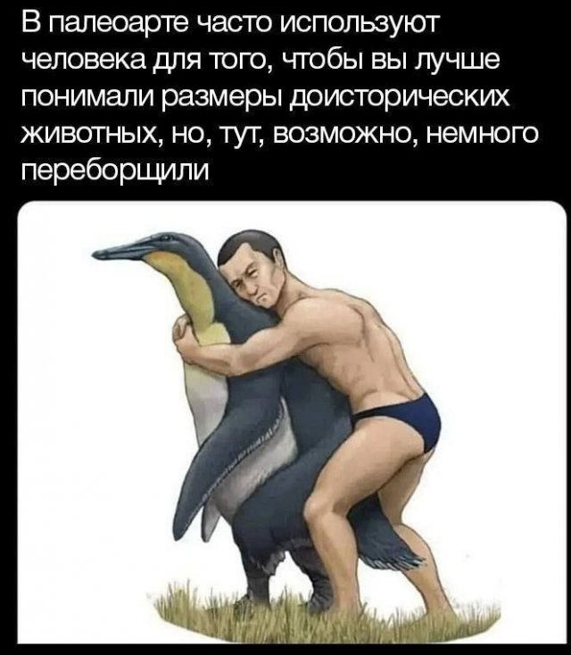 Смешные картинки - 12.11.2025