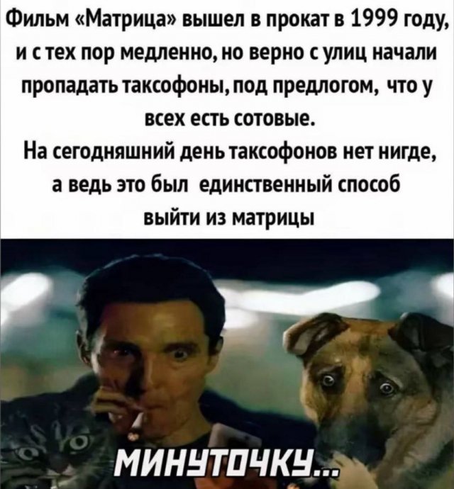 Лучшие шутки и мемы из Сети - 12.11.2025