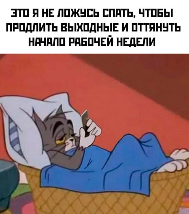 Лучшие шутки и мемы из Сети - 12.11.2025