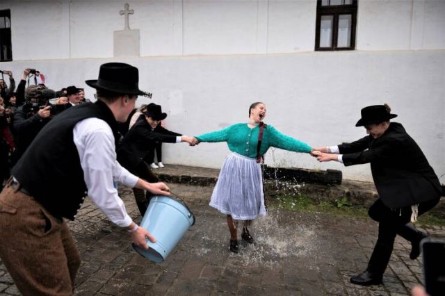 Подборка картинок. Вечерний выпуск - 12.11.2025