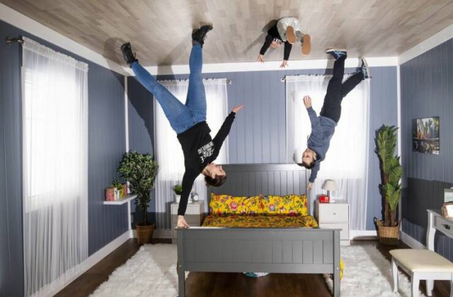 Подборка картинок. Вечерний выпуск - 12.11.2025